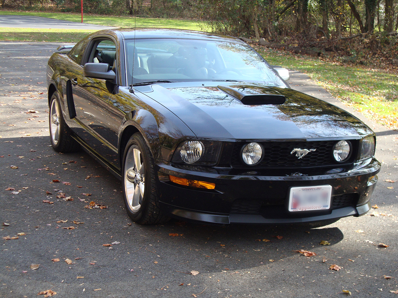 2008 ford mustang v8 horsepower