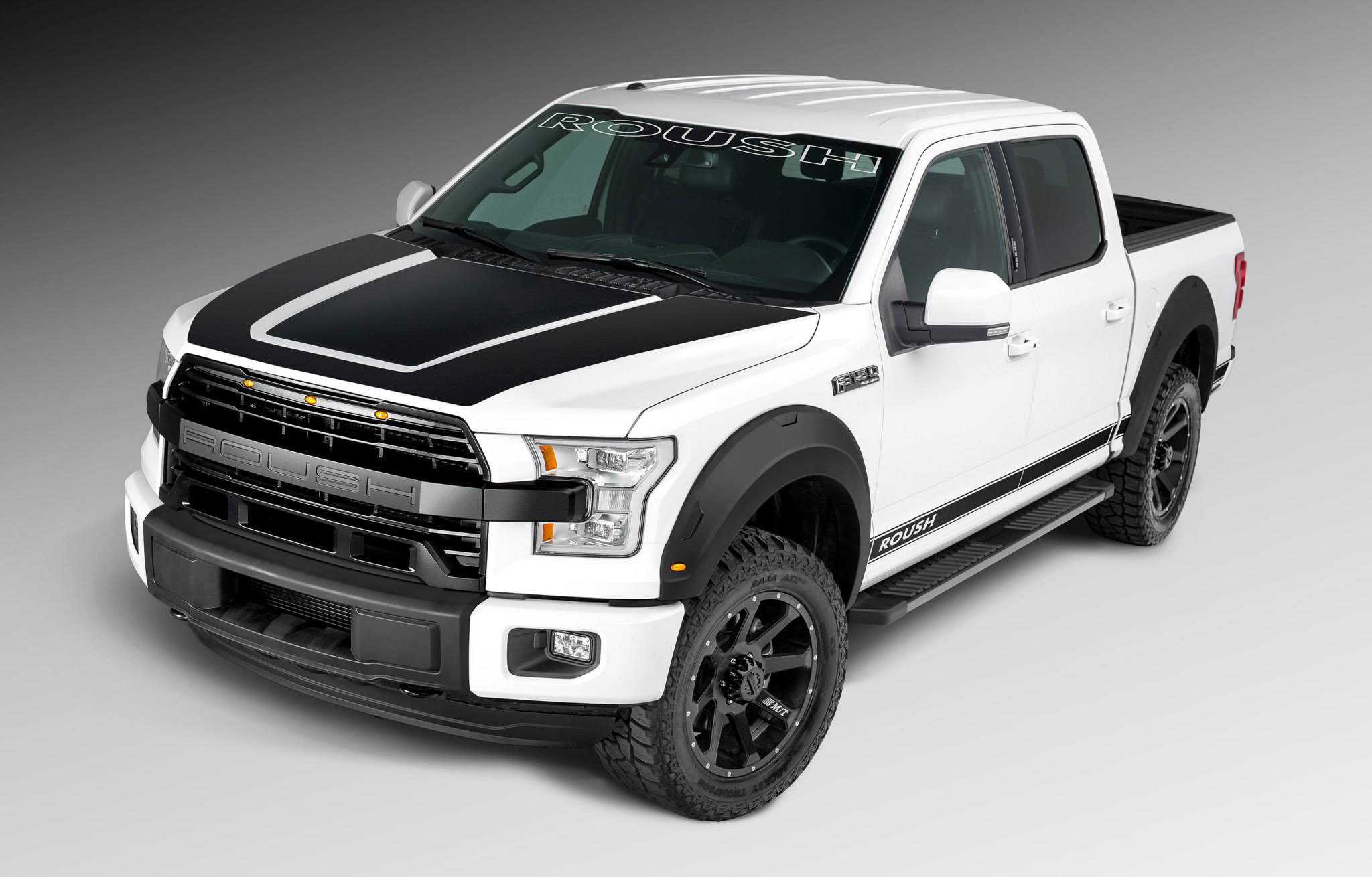 Roush racing ford f150 #5